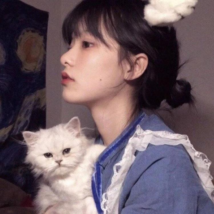 吉田俊司 - 独家综艺节目在线观看 - 在线看电影